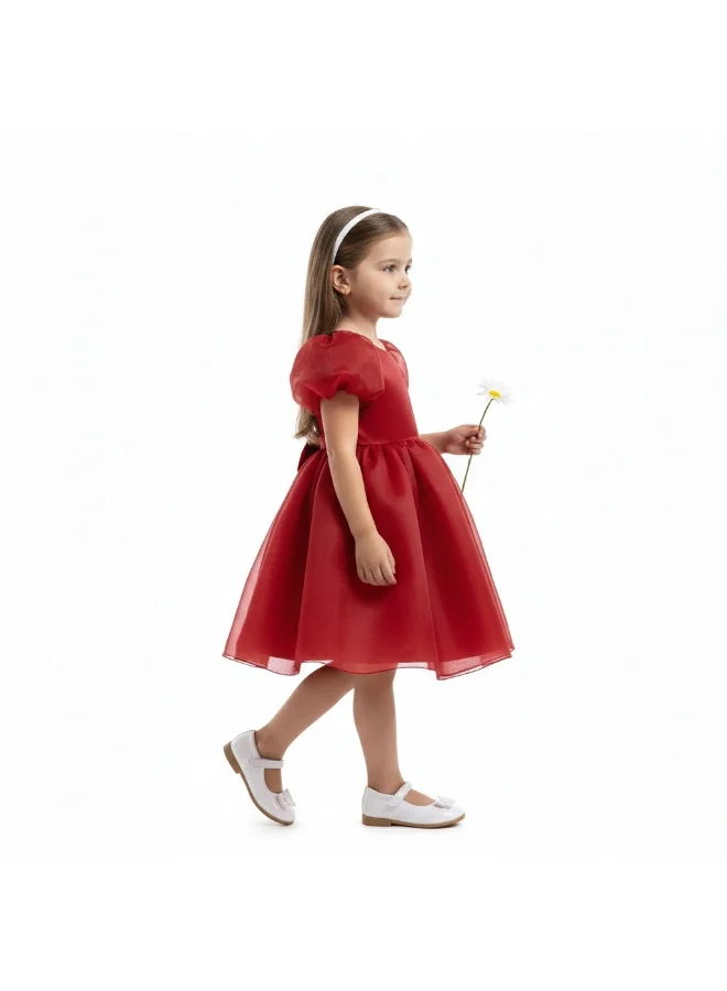 D'Daniela Organza Puff Sleeve Dress